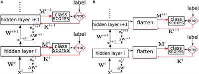 Deep Supervised Learning Using Local Errors